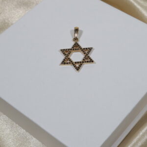 Dije estrella de David 2.9gr/3.5cm/circones negros/oro amarillo.